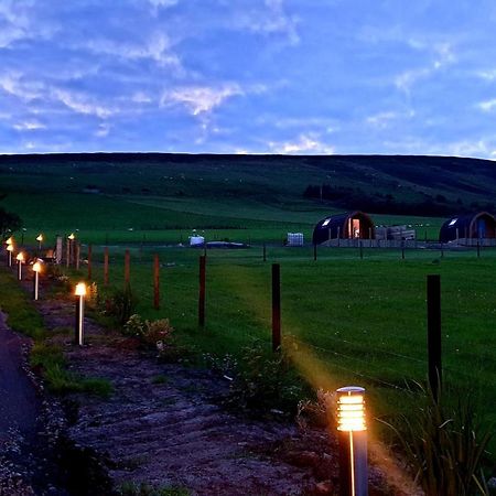 Lilly'S Lodges Orkney Hedgehog Lodge Finstown Exterior foto
