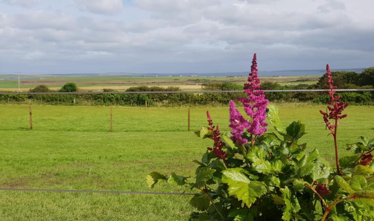 Lilly'S Lodges Orkney Hedgehog Lodge Finstown Exterior foto